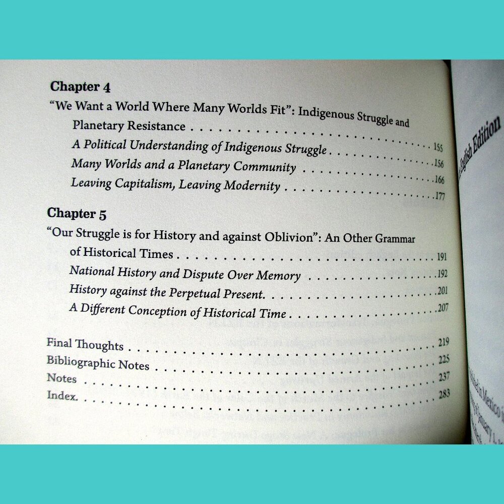 Book -  The Zapatista Experience: Rebellion, Resistance, and Autonomy - Picture 3 of 13